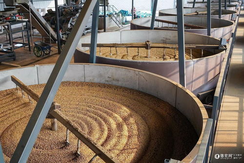 跑出加速度 德宏這家精品咖啡工廠從建設(shè)到投產(chǎn)僅用85天